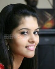 Actress Swathishta Krishnan Photos 15