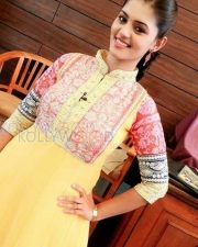 Actress Swathishta Krishnan Photos 28
