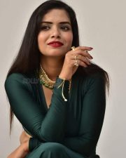 Actress Tripti Shukla at Tarakasura Movie Press Meet Photos 14