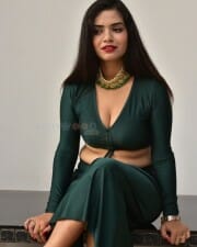 Actress Tripti Shukla at Tarakasura Movie Press Meet Photos 15