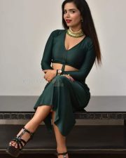 Actress Tripti Shukla at Tarakasura Movie Press Meet Photos 16