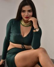 Actress Tripti Shukla at Tarakasura Movie Press Meet Photos 27
