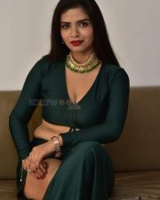 Actress Tripti Shukla at Tarakasura Movie Press Meet Photos 34