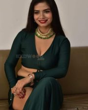 Actress Tripti Shukla at Tarakasura Movie Press Meet Photos 35