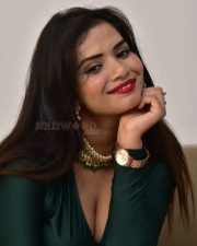 Actress Tripti Shukla at Tarakasura Movie Press Meet Photos 40