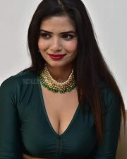 Actress Tripti Shukla at Tarakasura Movie Press Meet Photos 44