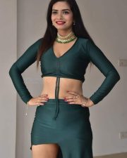 Actress Tripti Shukla at Tarakasura Movie Press Meet Photos 47