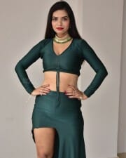 Actress Tripti Shukla at Tarakasura Movie Press Meet Photos 53