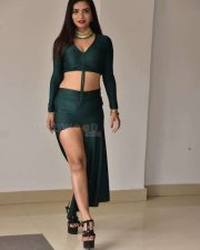Actress Tripti Shukla at Tarakasura Movie Press Meet Photos 58