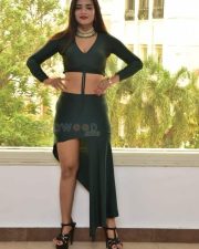Actress Tripti Shukla at Tarakasura Movie Press Meet Photos 59