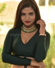 Actress Tripti Shukla at Tarakasura Movie Press Meet Photos 61