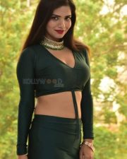 Actress Tripti Shukla at Tarakasura Movie Press Meet Photos 64
