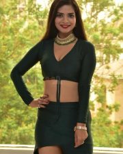 Actress Tripti Shukla at Tarakasura Movie Press Meet Photos 66