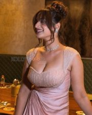 Glamorous Ayesha Khan Cleavage in a Pink Beaded Sweetheart Gown Photos 01