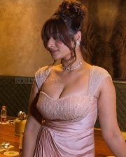 Glamorous Ayesha Khan Cleavage in a Pink Beaded Sweetheart Gown Photos 04