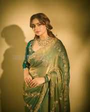 Graceful Actress Ayesha Khan in a Green Embroidered Saree Photos 02 Graceful Actress Ayesha Khan in a Green Embroidered Saree Photos 02