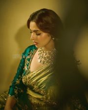 Graceful Actress Ayesha Khan in a Green Embroidered Saree Photos 05 Graceful Actress Ayesha Khan in a Green Embroidered Saree Photos 05