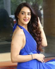 Heroine Arshin Mehta at Circle Trailer Launch Pictures 09