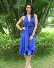 Heroine Arshin Mehta at Circle Trailer Launch Pictures 29