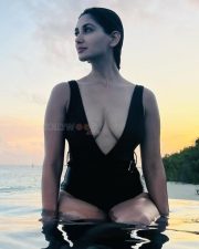 Hot and Erotic Nikita Dutta Boobs Cleavage in an One Piece Swimsuit Photos 04