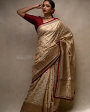 Malayalam Actress Surabhi Santosh Saree Photoshoot Pictures 14