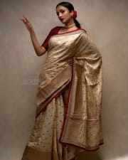 Malayalam Actress Surabhi Santosh Saree Photoshoot Pictures 15