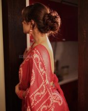 Stunning Beauty Ayesha Khan in a Red Saree Pictures 03