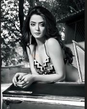 Surveen Chawla Hot Pictures 10