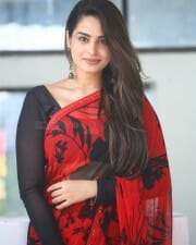 Tollywood Actress Ayesha Khan at Mukhachitram Movie Interview Photos 04