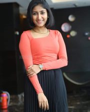 Actress Archana Jois at Mansion 24 Pre Release Press Meet Photos 15