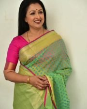 Actress Gautami at Anni Manchi Sakunamule Interview Pictures 35
