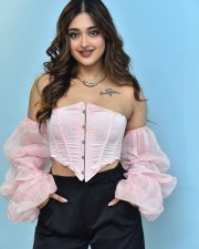 Actress Gayatri Bharadwaj at Cult Movie Teaser Launch Photos 30