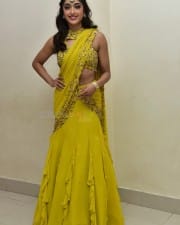 Actress Gayatri Bhardwaj at Tiger Nageswara Rao Pre Release Event Photos 19