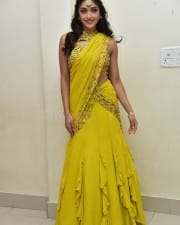 Actress Gayatri Bhardwaj at Tiger Nageswara Rao Pre Release Event Photos 40