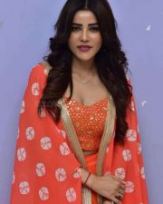 Actress Krishika Patel at Artiste Glimpse Launch Photos 01