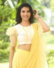 Actress Meenakshi Goswami at Bharatanatyam Movie Teaser Launch Pictures 08