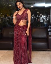 Actress Payal Radhakrishna at Papam Prathap Pre Release Event Photos 10
