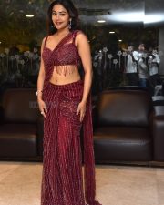 Actress Payal Radhakrishna at Papam Prathap Pre Release Event Photos 12