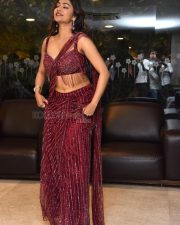 Actress Payal Radhakrishna at Papam Prathap Pre Release Event Photos 13