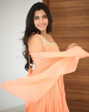 Actress Shivani Nagaram at Hey Balwanth Movie Interview Photos 39