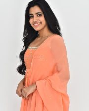 Actress Shivani Nagaram at Hey Balwanth Movie Interview Photos 46