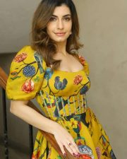 Actress Simrithi Bathija at Dharty Fellow Movie Teaser Launch Photos 45