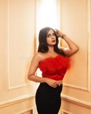 Actress and Model Samyuktha Shanmuganathan Photoshoot Pictures 02