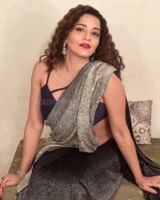 Bhojpuri Actress Monalisa Stunning in a Glittery Saree and Deep Neck Blouse Pictures 02