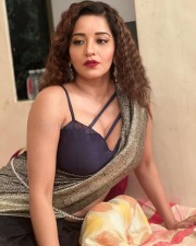 Bhojpuri Actress Monalisa Stunning in a Glittery Saree and Deep Neck Blouse Pictures 08