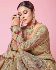 Bollywood Actress Shehnaaz Gill in a Golden Ethnic Sharara Photos 02