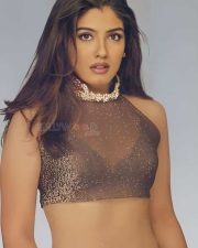 Desi Beauty Raveena Tandon in a See Through Crop Top Picture 01