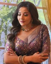 Glamorous Actress Asli Monalisa in a Navy pearl embellished sheer saree Photos 04