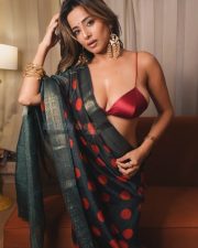 Glamorous Kate Sharma Cleavage in a maroon crop top and patterned saree Photos 06