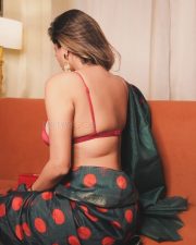 Glamorous Kate Sharma Cleavage in a maroon crop top and patterned saree Photos 09
